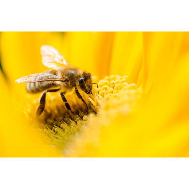 Bee On A Flower_452023021 Brambly Cottage Size: 20cm H x 30cm W x 3.8cm D on Productcaster.