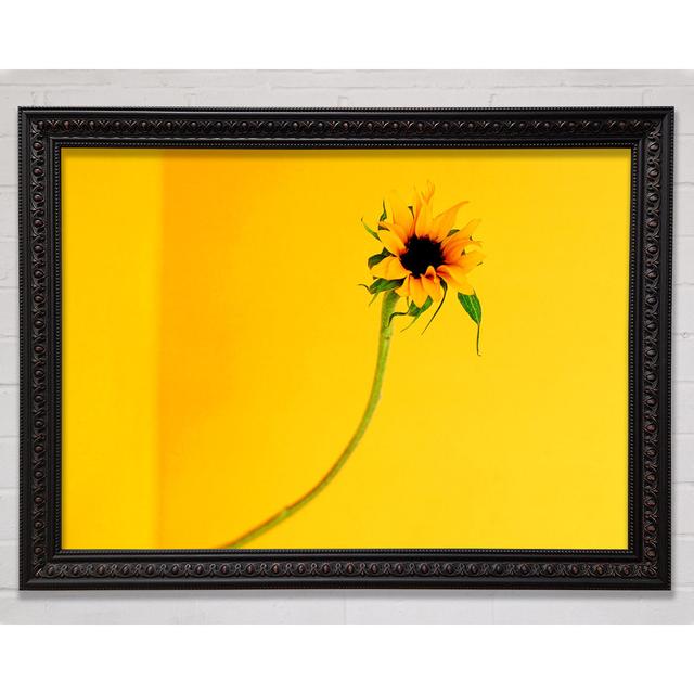 Mustard Sunflower - Single Picture Frame Print Rosalind Wheeler Size: 42cm H x 59.7cm W x 3cm D, Format: Black Framed Wood on Productcaster.