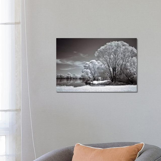 And Quiet by Ily Szilagyi - Wrapped Canvas Print Latitude Run Size: 45.72cm H x 66.04cm W x 3.81cm D on Productcaster.