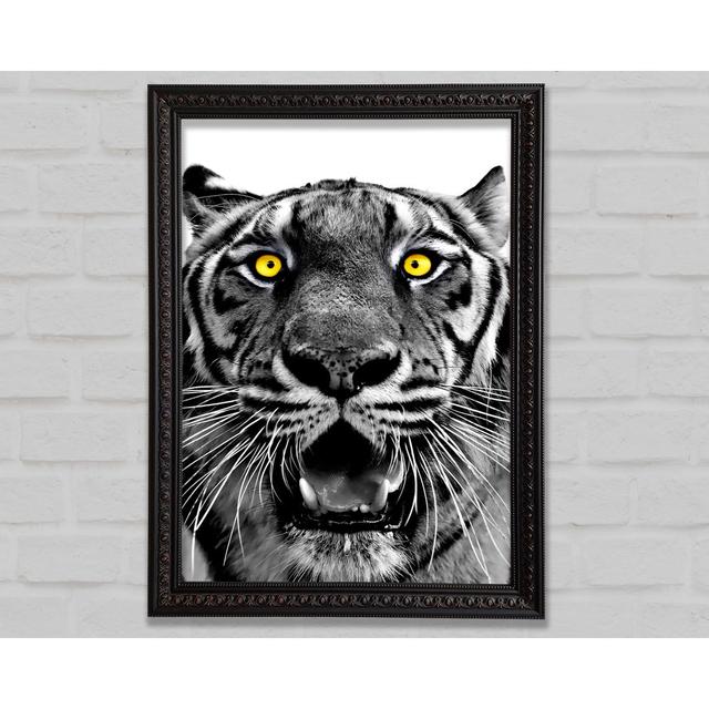 Yellow Tiger Eyes Framed Print Bright Star Size: 42cm H x 59.7cm W on Productcaster.