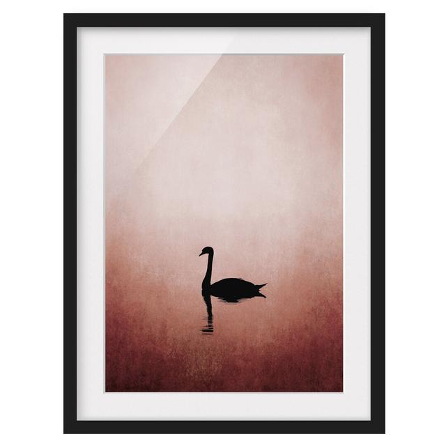 Swan in Sunset - Picture Frame Graphic Art Marlow Home Co. Size: 55cm H x 40cm W x 2cm D, Frame Option: Black Framed on Productcaster.