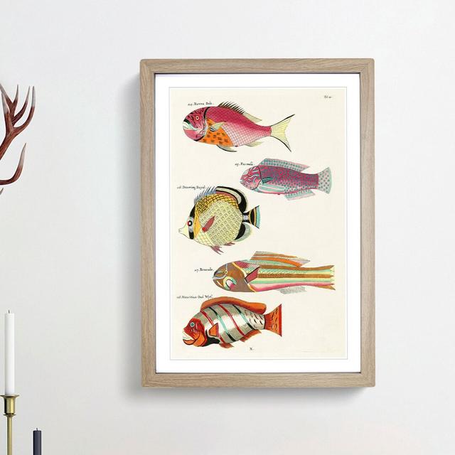 East Indies Fish Illustrations Fol. 21 by Louis Renard - Picture Frame Painting Print East Urban Home Frame Option: Oak Framed, Size: 48cm H x 36cm W on Productcaster.