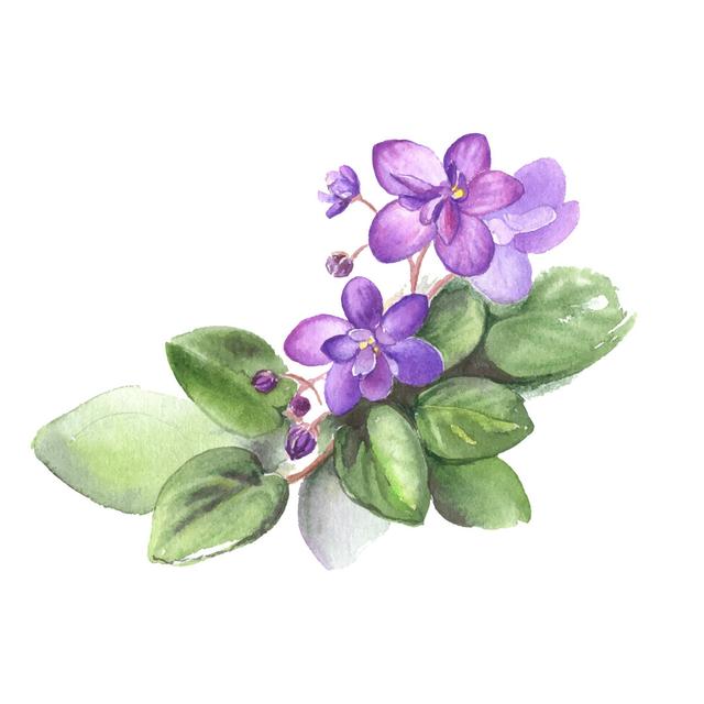 Lichtwardt Watercolor Violet Flowers - Wrapped Canvas Painting ClassicLiving Size: 51cm H x 51cm W x 3.8cm D on Productcaster.