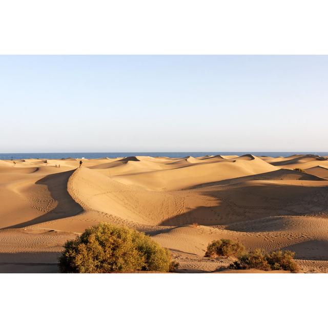 Maspalomas by Donstock - Wrapped Canvas Photograph Natur Pur Size: 81cm H x 122cm W x 3.8cm D on Productcaster.