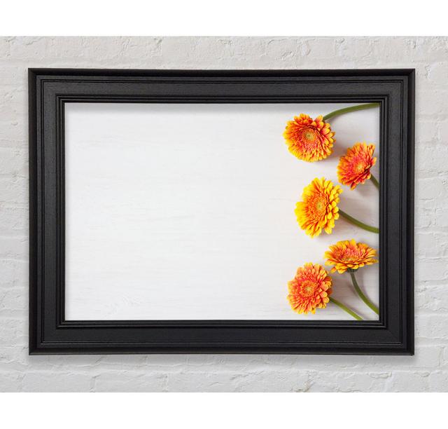 Orange Gerberas Laid Out - Single Picture Frame Art Prints Ebern Designs Size: 84.1cm H x 142.2cm W x 8cm D on Productcaster.