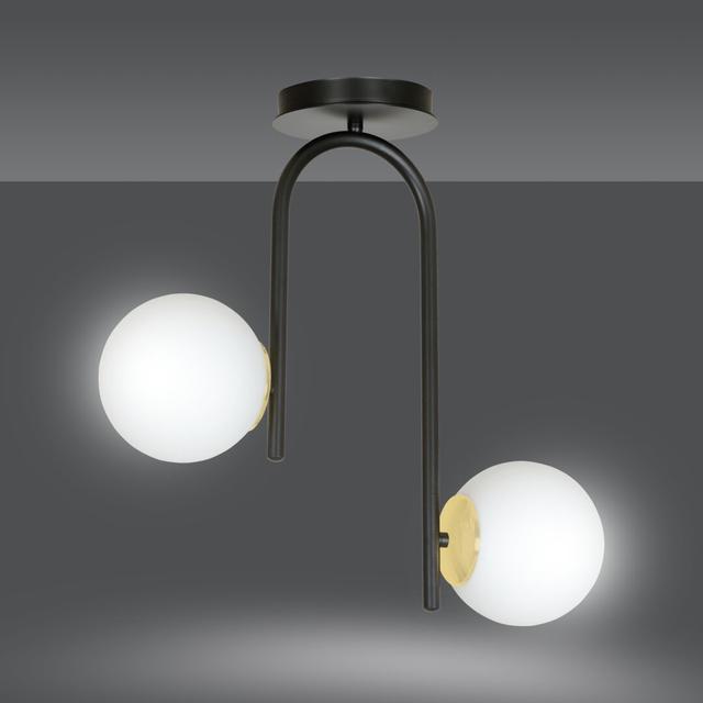 Gaiser 2-Light Novelty Globe Pendant Corrigan Studio Finish: Black on Productcaster.