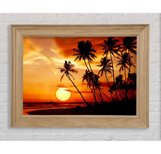 Single Picture Frame Art Prints Bright Star Size: 42cm H x 59.7cm W on Productcaster.