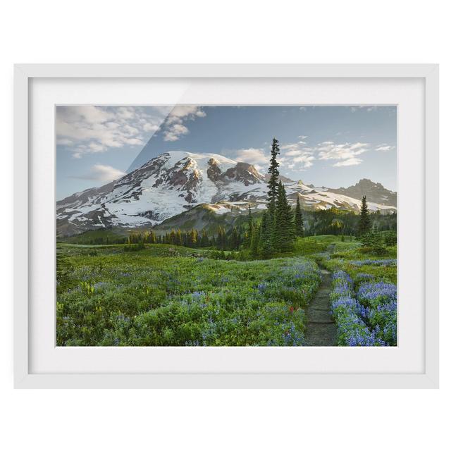 Mountain View Meadow Trail - Picture Frame Photographic Art Print on Paper East Urban Home Frame Options: Matt white, Size: 40cm H x 55cm W on Productcaster.