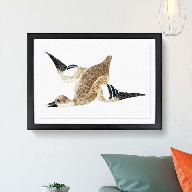 Flying Duck by Johan Teyler - Picture Frame Art Print East Urban Home Size: 60cm H x 91cm W x 2cm D, Frame Option: Black on Productcaster.