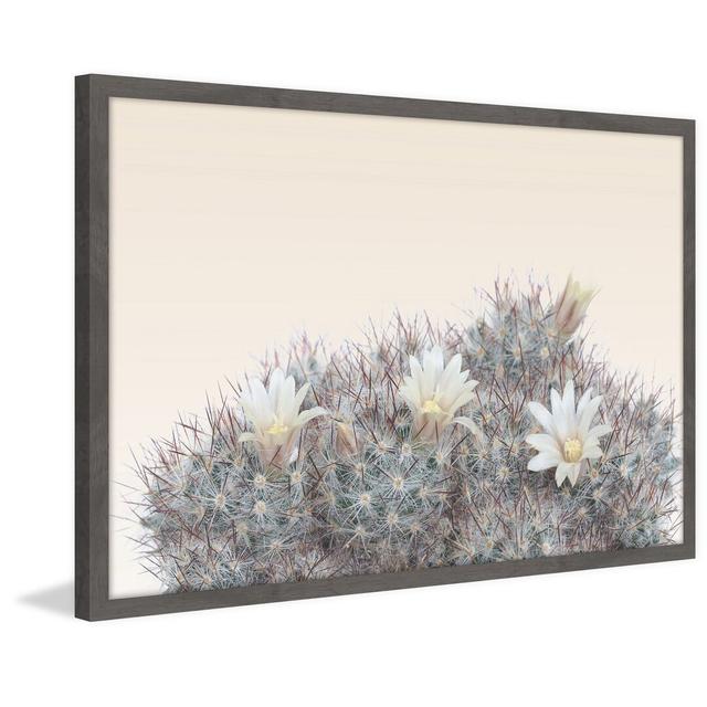 Fleur De Desert - Picture Frame Photograph Print on Paper East Urban Home Size: 41 cm H x 61 cm W x 4 cm D on Productcaster.