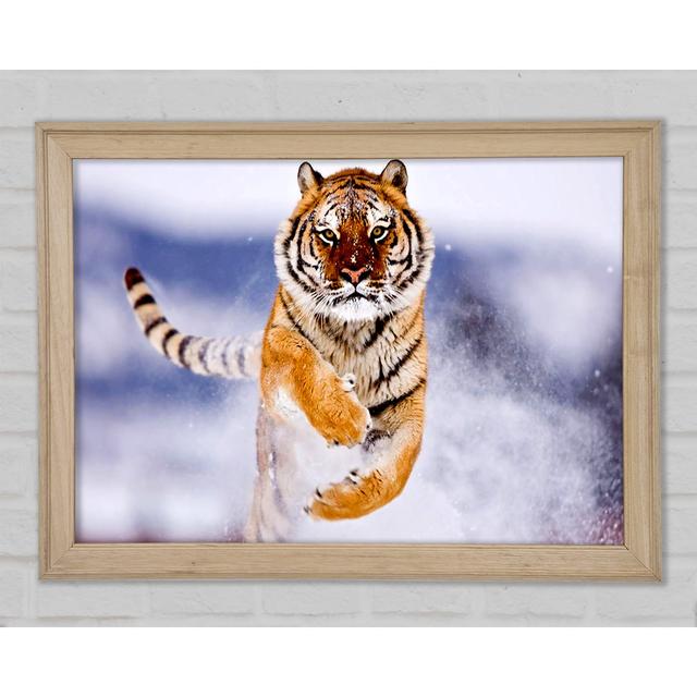 Running Snow Tiger - Single Picture Frame Art Prints Ebern Designs Size: 84.1cm H x 118.9cm W x 1.5cm D on Productcaster.