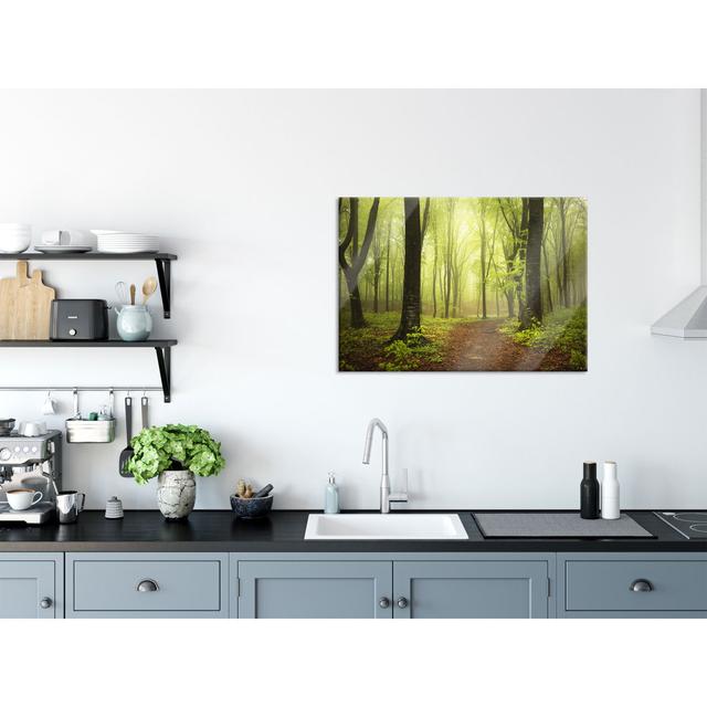 Path in the Forest - Unframed Photograph on Glass Union Rustic Size: 60cm H x 80cm W on Productcaster.