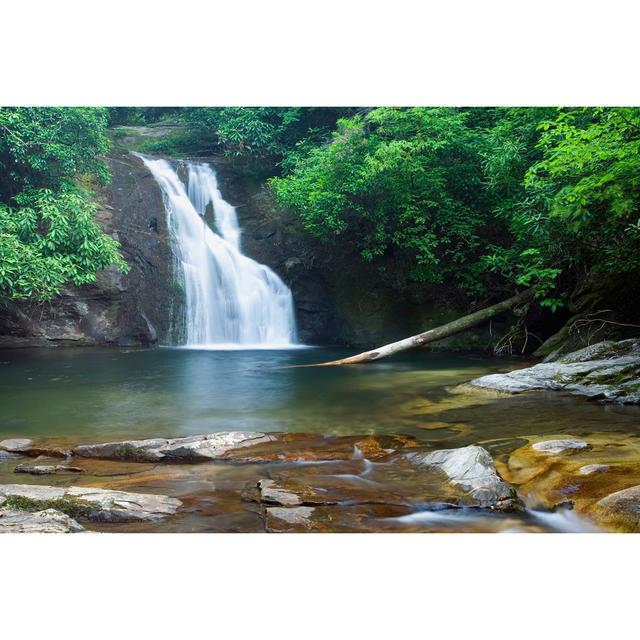 Blue Hole Falls by Sebatl - Print Alpen Home Size: 51cm H x 76cm W on Productcaster.