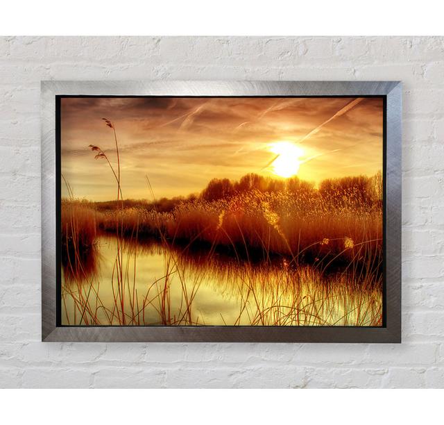 Sunset At Bieslandse Forest - Single Picture Frame Print Ebern Designs Size: 84.1cm H x 118.9cm W x 3.4cm D, Format: Silver Framed Paper on Productcaster.