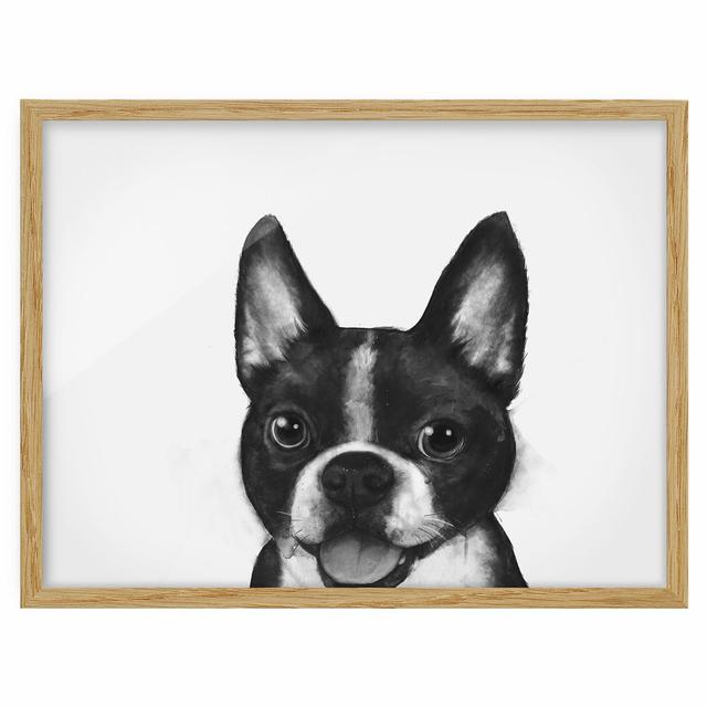 Illustration Dog Boston Black White Painting - Picture Frame Graphic Art on Paper Rosalind Wheeler Frame Option: Brown Framed, Size: 50cm H x 70cm W x on Productcaster.