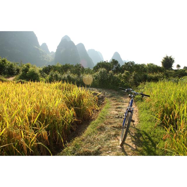 Gennifer China Country Landscape - Wrapped Canvas Photograph Brambly Cottage Size: 61cm H x 91cm W x 3.8cm D on Productcaster.