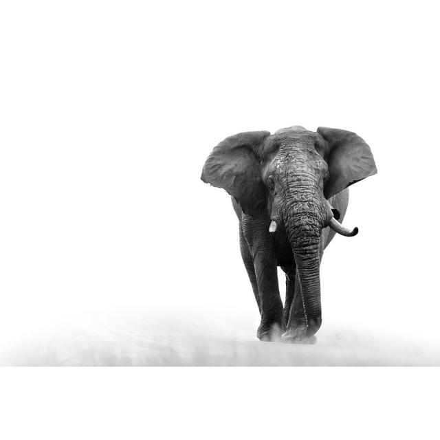 Elephant Loxodonta Africana Big 5 Safari Wildlife Game Drive Kruger Black White - Wrapped Canvas Photograph Ebern Designs Size: 81cm H x 122cm W x 3.8 on Productcaster.