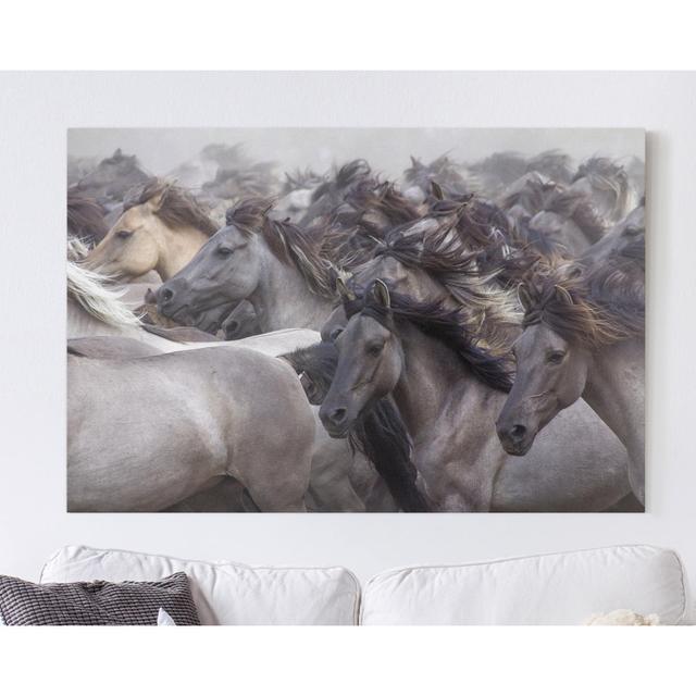 Leinwandbild Wild Horses East Urban Home Größe: 60 cm L x 90 cm B on Productcaster.