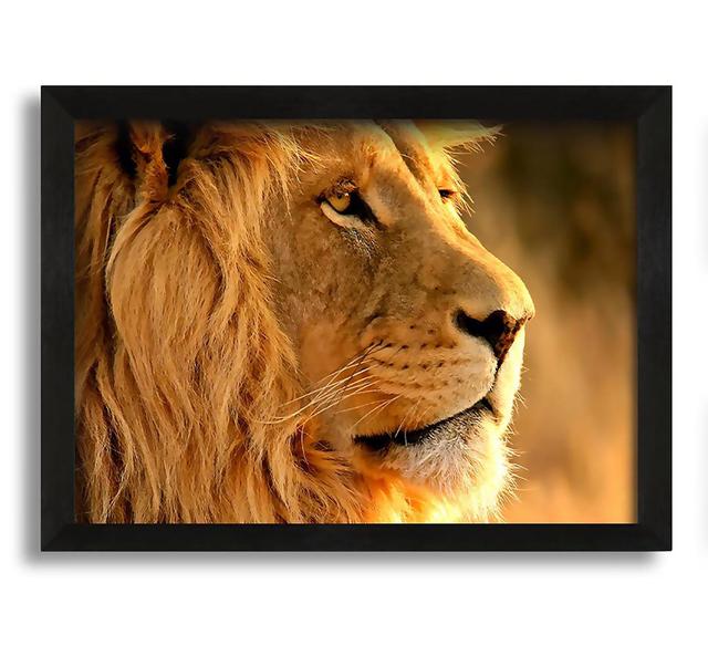 Lion - Picture Frame Graphic Art on Canvas Latitude Run Size: 30cm H x 42cm W x 10cm D on Productcaster.