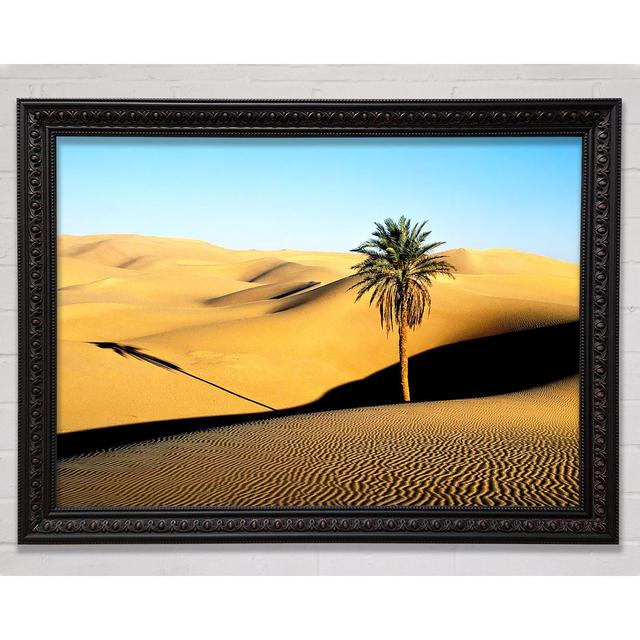 Single Picture Frame Art Prints Bright Star Size: 42cm H x 59.7cm W on Productcaster.