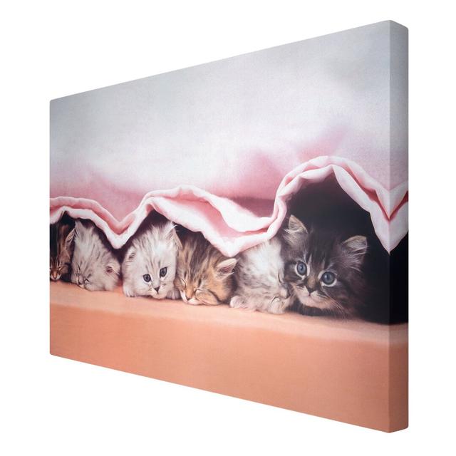 Sugary Sweet Kittens Photographic Print on Canvas East Urban Home Size: 180cm L x 120cm W on Productcaster.