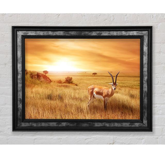 Gazelle In The Grasslands Framed Print Bright Star Size: 84.1cm H x 142.2cm W on Productcaster.