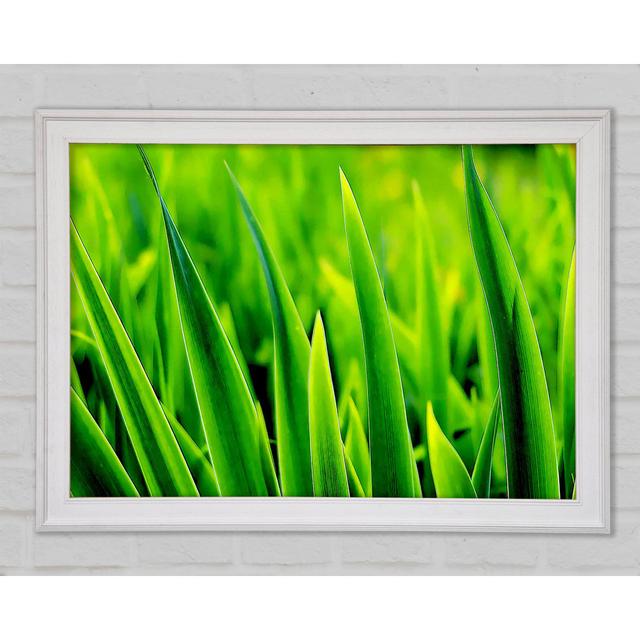 Green Leaf Shafts - Print Ebern Designs Size: 29.7cm H x 42cm W x 1.5cm D, Format: White Framed Paper on Productcaster.