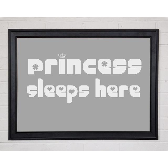 Princess Sleeps 2 Grey White Framed Print 10041 Happy Larry Size: 42cm H x 59.7cm W x 1.5cm D on Productcaster.