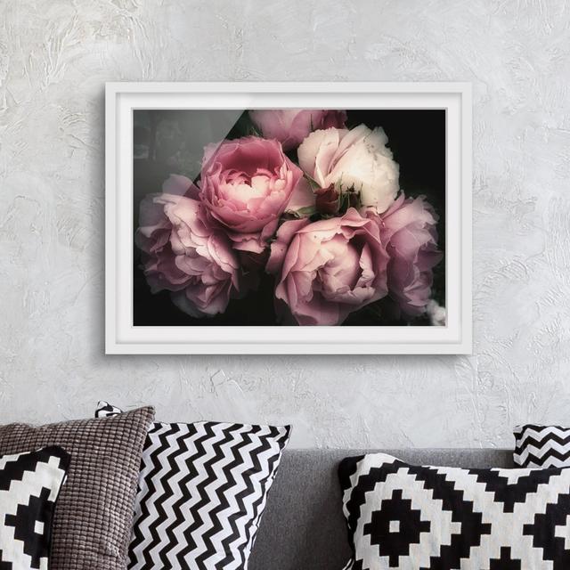 Peonies Before Black Shabby - Picture Frame Graphic Art Rosdorf Park Size: 70cm H x 100cm W x 2cm D, Format: White Framed, Matte Colour: White on Productcaster.