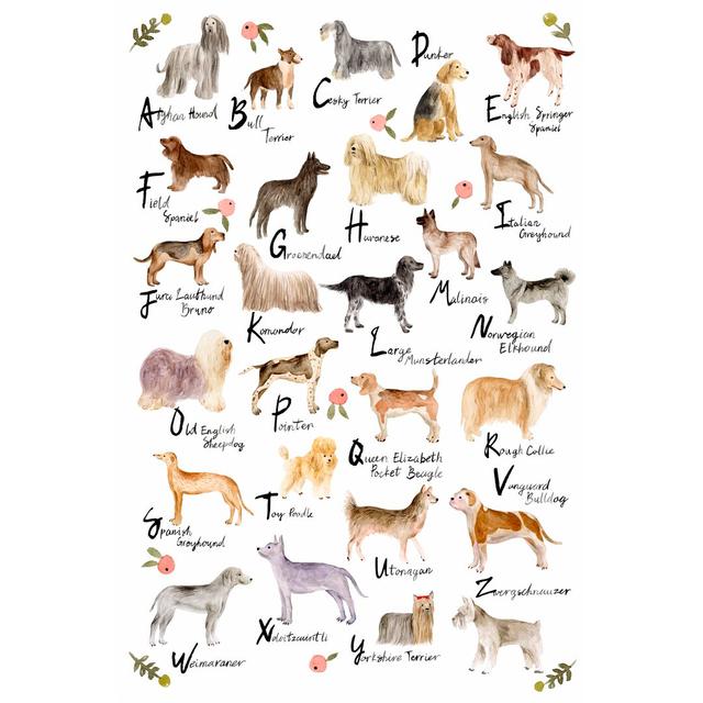 Dog Alphabet by Melissa Wang - Wrapped Canvas Painting Rosalind Wheeler Size: 46cm H x 30cm W x 3.8cm D on Productcaster.