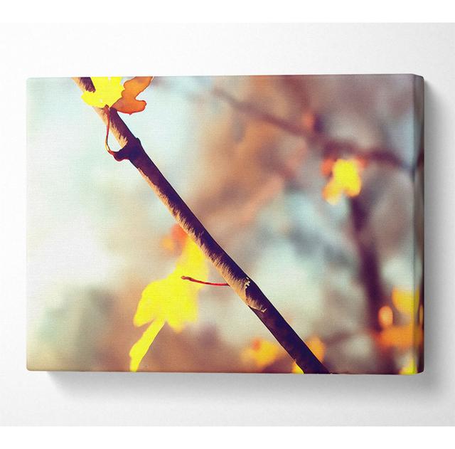 Herbst 2 - Kunstdrucke auf Leinwand - Wrapped Canvas ModernMoments Größe: 81cm H x 121,9cm B x 10cm T on Productcaster.