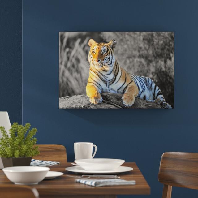 Leinwandbild „Wunderschöner stolzer Tiger" East Urban Home Größe: 40 cm H x 60 cm B on Productcaster.