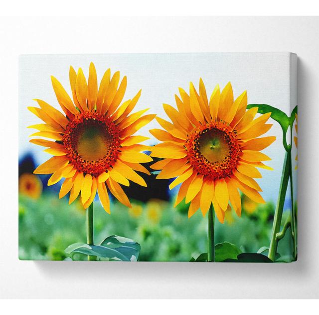 Twin Sunflowers - Wrapped Canvas Art Prints Brambly Cottage Size: 35.6cm H x 50.8cm W x 10cm D on Productcaster.