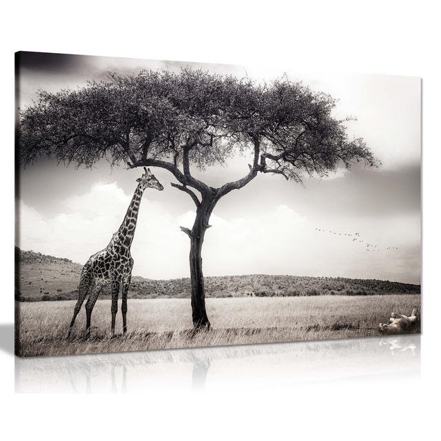 Safari Wildlife Giraffe & Playful Lion - Art Prints Panther Print Size: 31cm H x 46cm W on Productcaster.