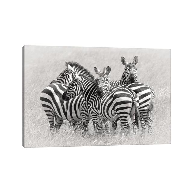 Zebras by Kirill Trubitsyn - Wrapped Canvas Print 17 Stories Size: 20.32cm H x 30.48cm W x 1.91cm D on Productcaster.