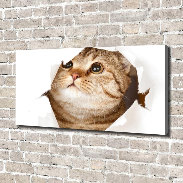 Cat - Wrapped Canvas Art Prints Ebern Designs on Productcaster.