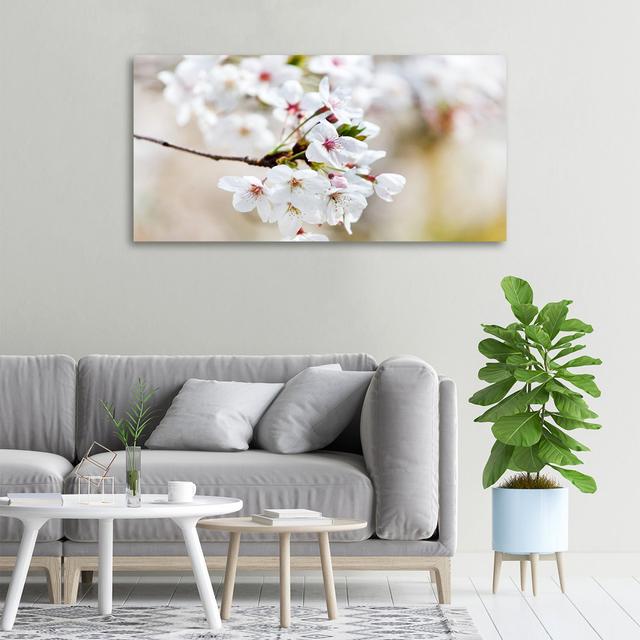 Kirschblüten - Ungerahmte Kunstdrucke auf Leinwand ModernMoments on Productcaster.