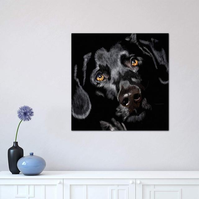 Black Lab on Black by Vicki Newton - Wrapped Canvas Painting Print Latitude Run Size: 45.72cm H x 45.72cm W x 1.91cm D on Productcaster.