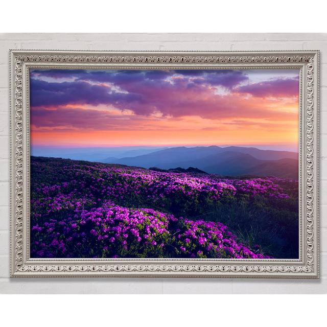 Purple Meadow Mountains - Single Picture Frame Art Prints Bright Star Size: 42cm H x 59.7cm W x 3cm D on Productcaster.