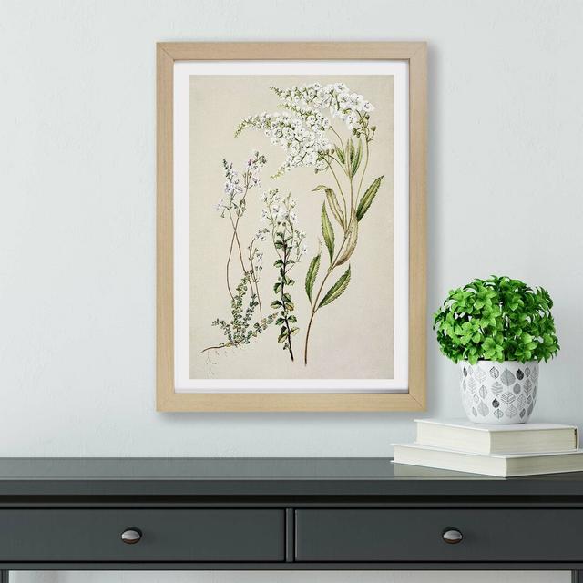 Veronica Flowers by Sarah Featon - Single Picture Frame Painting East Urban Home Size: 24cm H x 33cm W x 2cm D, Frame Option: Oak on Productcaster.