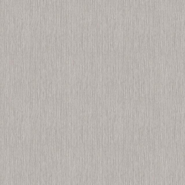 Praveen Plain 10.05m x 53cm Matte Double Roll 17 Stories Colour: Silver Grey on Productcaster.