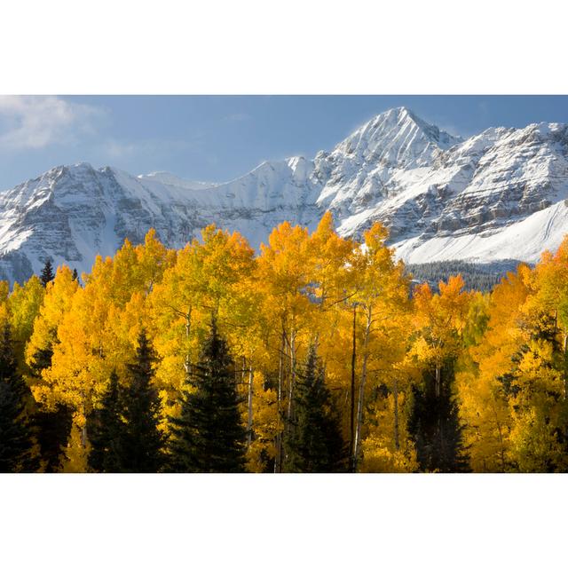 Landschaftliche Colorado Berge von DOUGBERRY - Druck auf Leinwand ohne Rahmen Alpen Home Größe: 40 cm H x 60 cm B on Productcaster.