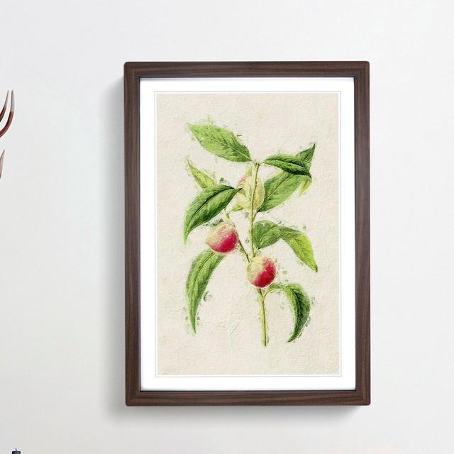 Illustration of Peaches - Picture Frame Painting Print East Urban Home Frame Option: Walnut Framed, Size: 48cm H x 36cm W x 2cm D on Productcaster.