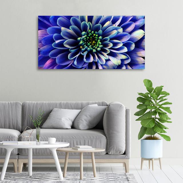 Aster - Wrapped Canvas Art Prints Latitude Run on Productcaster.