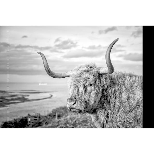 Highland Cows IV - Wrapped Canvas Photograph Gracie Oaks Size: 20cm H x 30cm W on Productcaster.