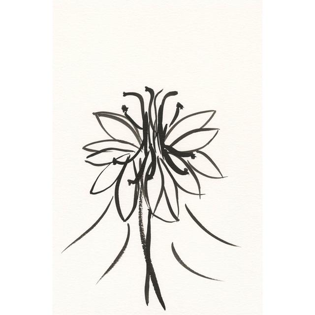 Ink Botanical Sketch XI by J. Holland - Wrapped Canvas Painting Rosalind Wheeler Size: 30cm H x 20cm W x 3.8cm D on Productcaster.