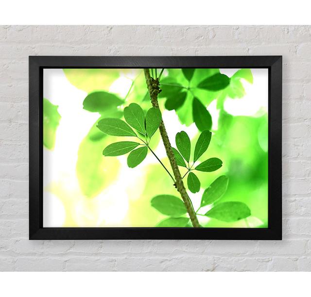 Spring Has Sprung - Single Picture Frame Art Prints Bright Star Size: 100cm H x 141.4cm W on Productcaster.