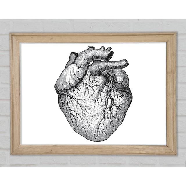 Anatomy Of The Heart Framed Print Happy Larry Size: 42cm H x 59.7cm W on Productcaster.