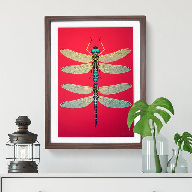 Two Pretty Dragonflies - Single Picture Frame Print Brambly Cottage Frame Colour: Walnut Framed, Size: 34cm H x 25cm W x 2cm D on Productcaster.