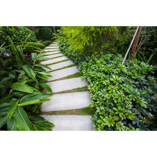 Stone Walkway by Kanmu - Photographic Print 17 Stories Size: 51cm H x 76cm W on Productcaster.